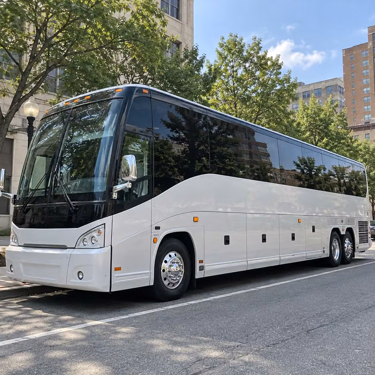 cardinals and blues fan shuttles from o fallon to downtown st louis